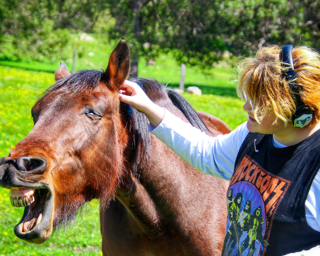 Student-centred education - Student petting a horse