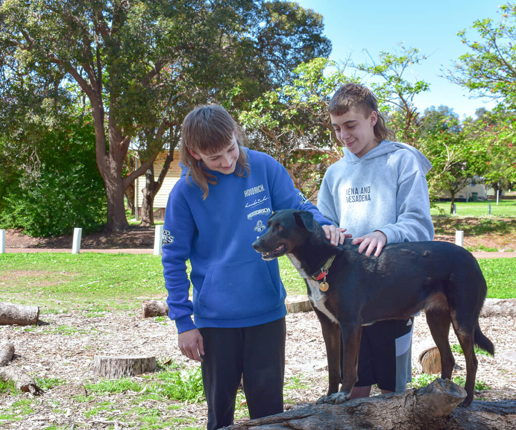 Student-centred education - Students petting a dog in campus
